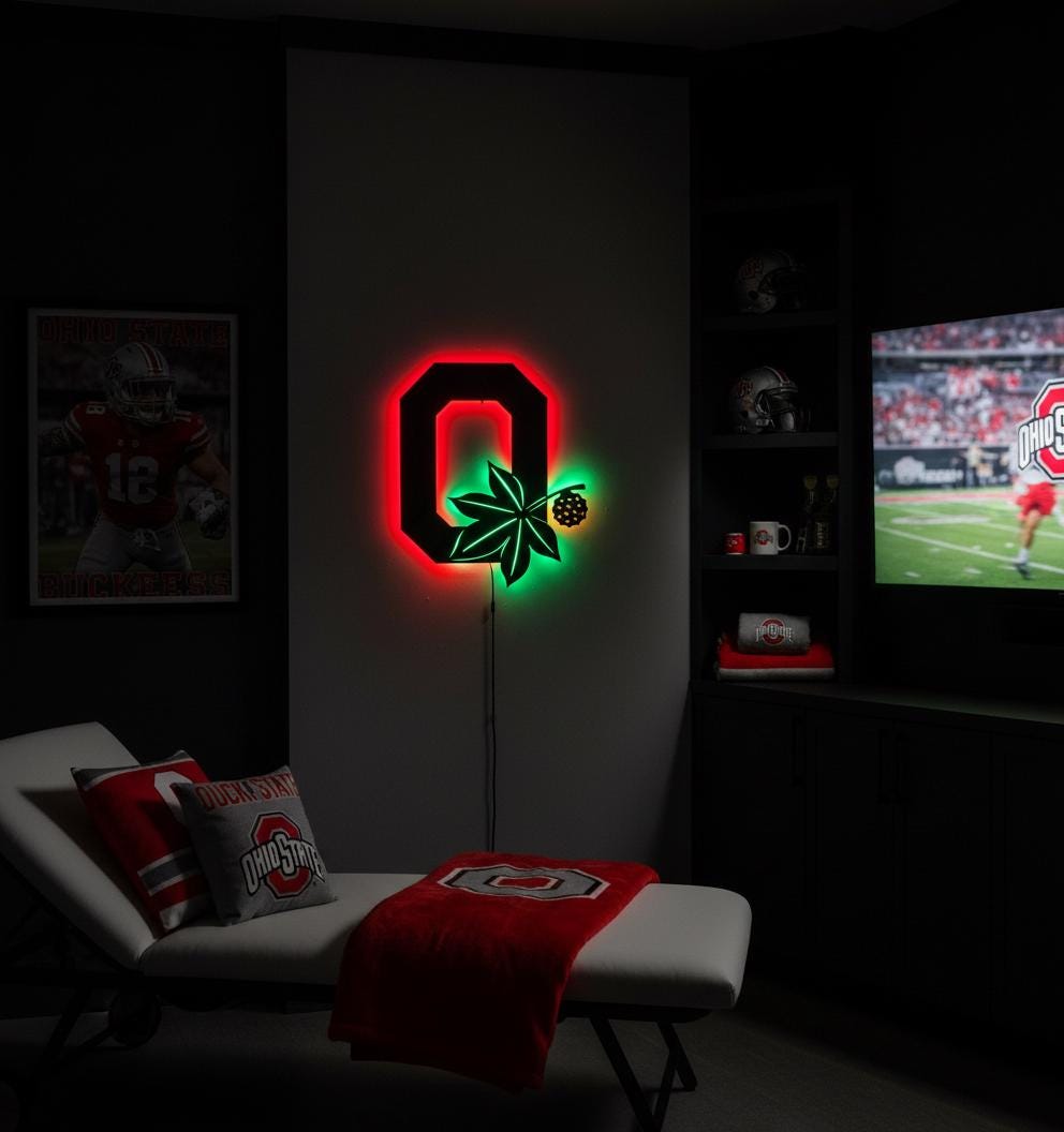 Ohio State Wall Art - Buckeyes Team Logo Illuminated Game Room Decor