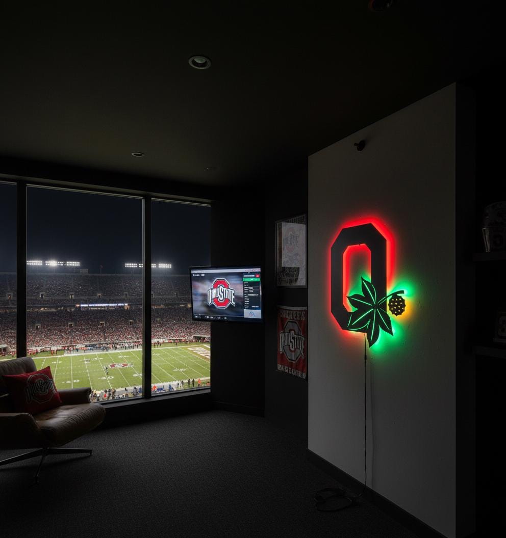 Ohio State Wall Art - Buckeyes Team Logo Illuminated Game Room Decor