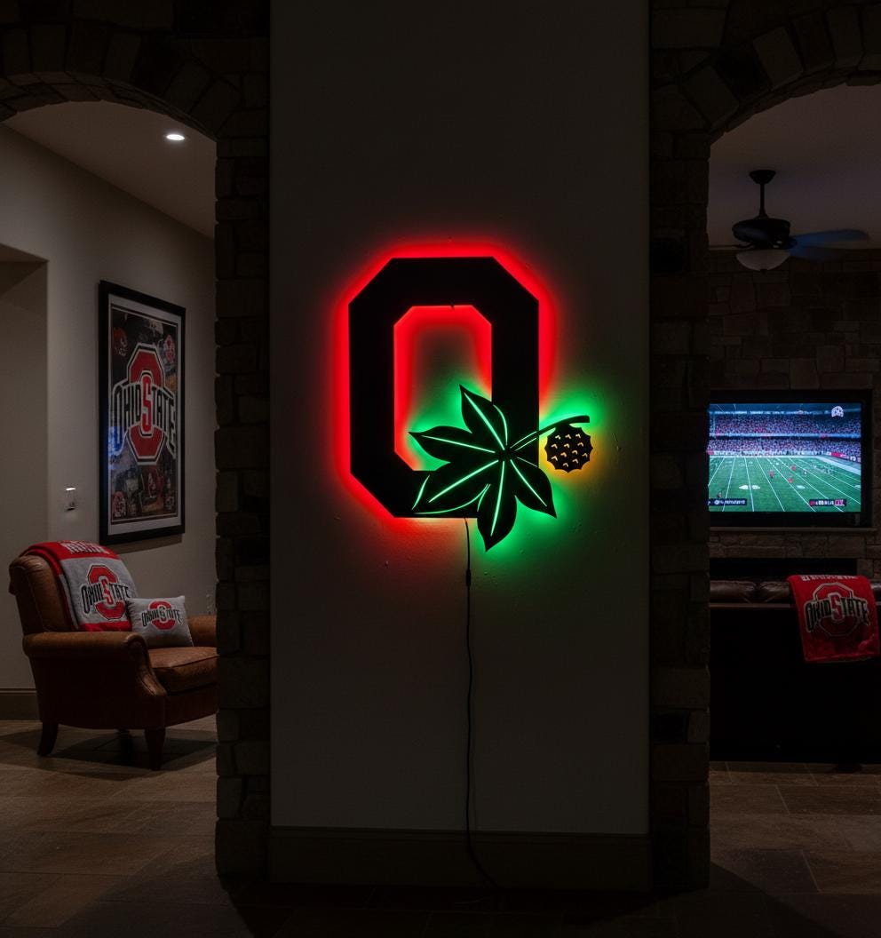 Ohio State Wall Art - Buckeyes Team Logo Illuminated Game Room Decor
