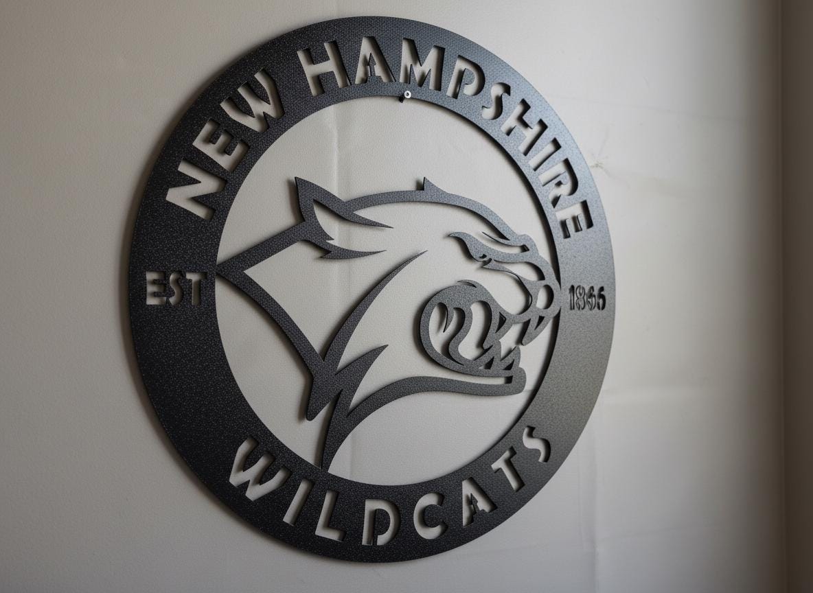 New Hampshire Wildcats Wall Art - NCAA College Game Room Decor Gift