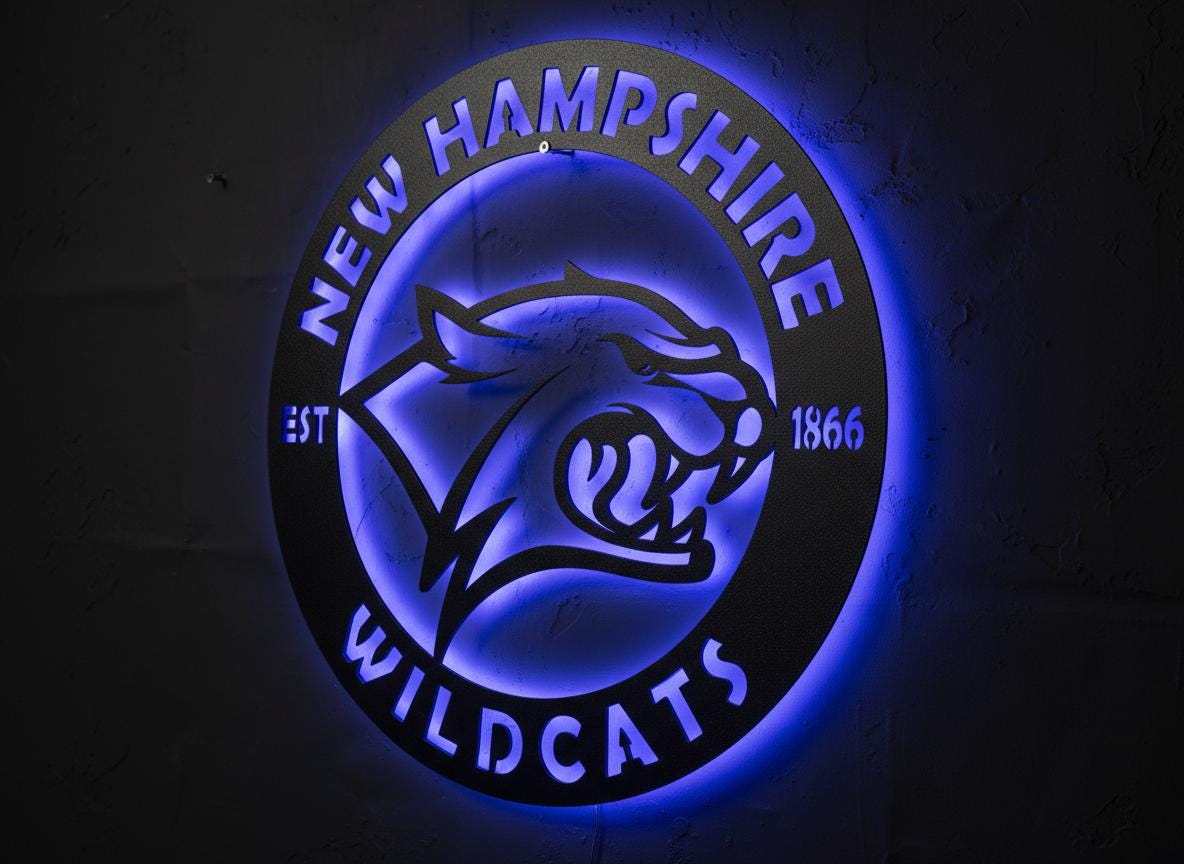 New Hampshire Wildcats Wall Art - NCAA College Game Room Decor Gift